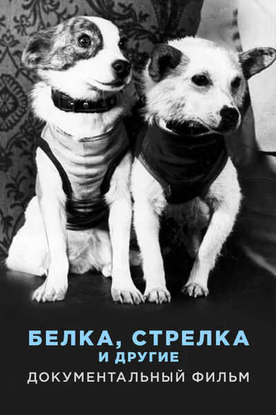 Белка, Стрелка и другие