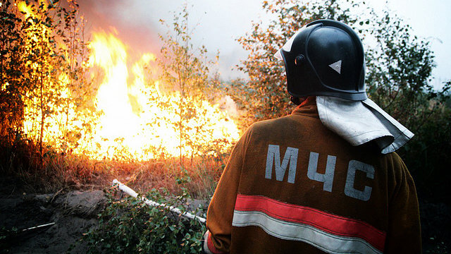 Спасти любой ценой