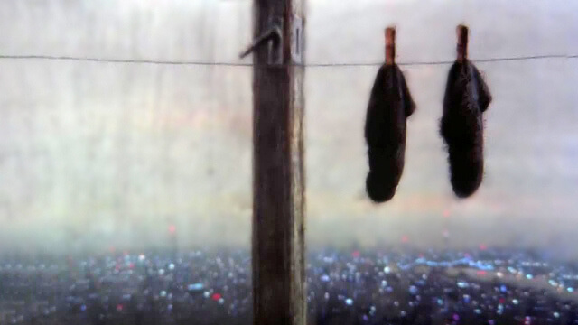 Носки большого города