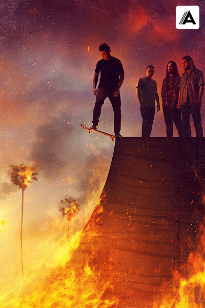 По волчьим законам