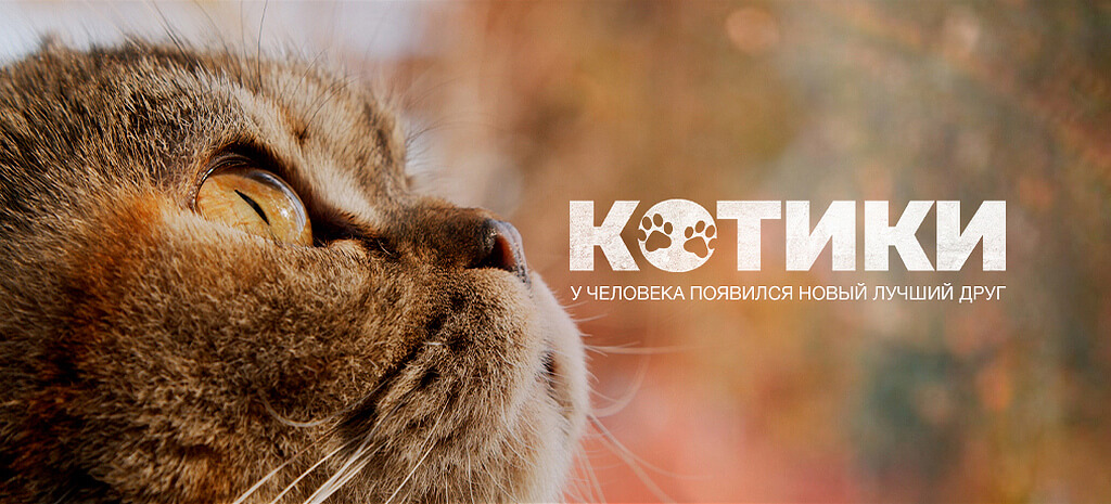 Мартовские коты фильм
