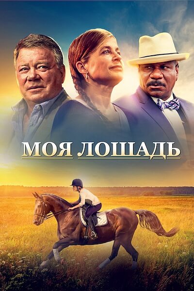 Моя лошадь