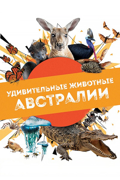 Удивительные животные Австралии Удивительные животные Австралии