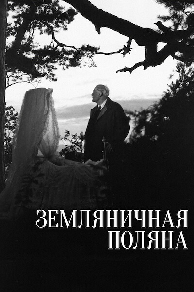 Земляничная поляна