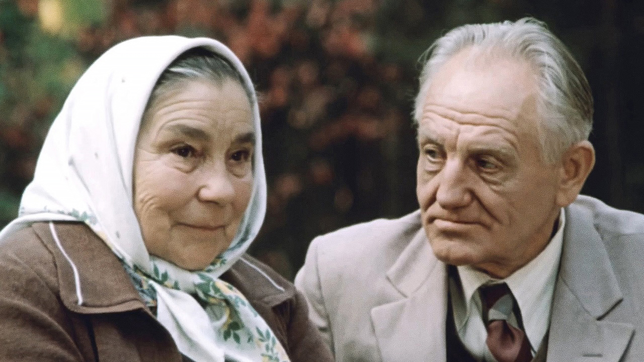 Деревья на асфальте