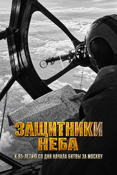 Защитники неба