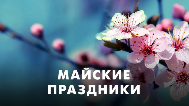 Майские праздники