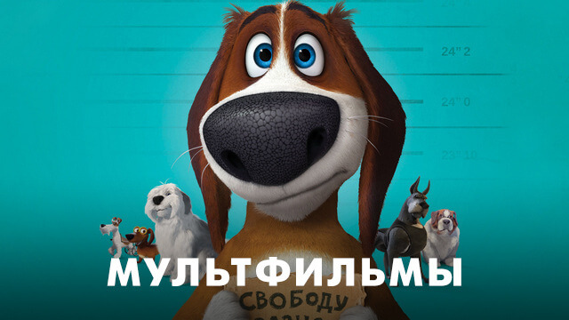 Мультфильмы